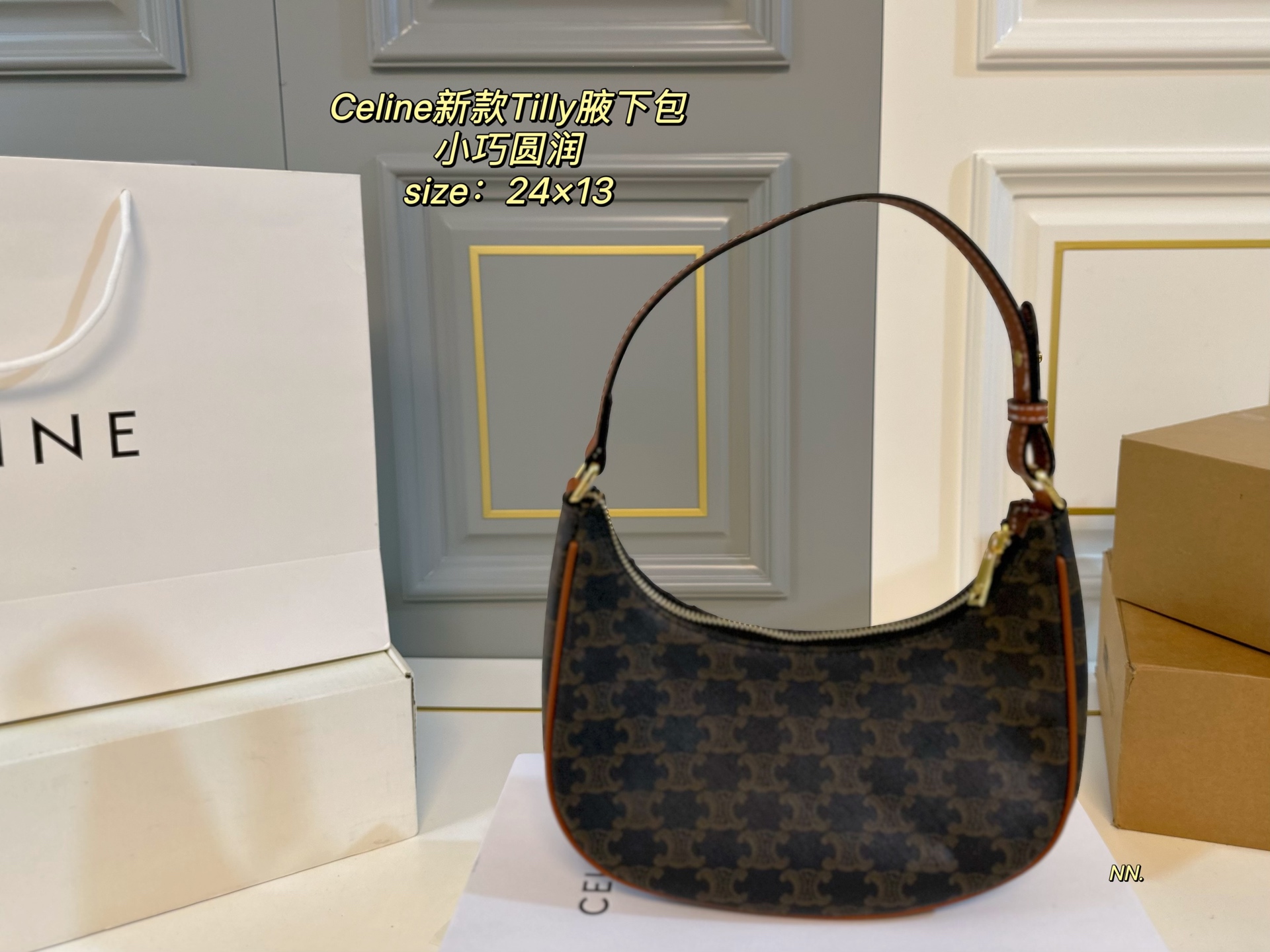 CELINE bag 22